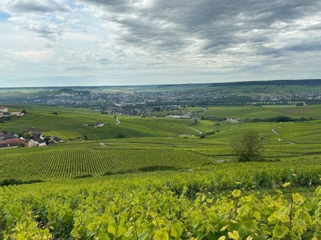 Half-Day Champagne : Convertible Sport Car Tour From Paris - Dining Options