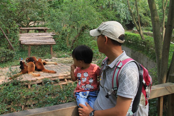 Half-Day Chengdu Panda Research Base Private Tour - Panda Encounters