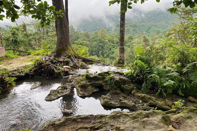 Half Day Chiang Mai Sticky Waterfall and Hotel Transfer - Good To Know