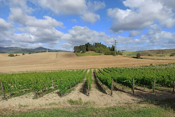 HALF-DAY: Chianti Classic Tour With Wine Experience & Visit of San Gimignano - Meeting Point Details