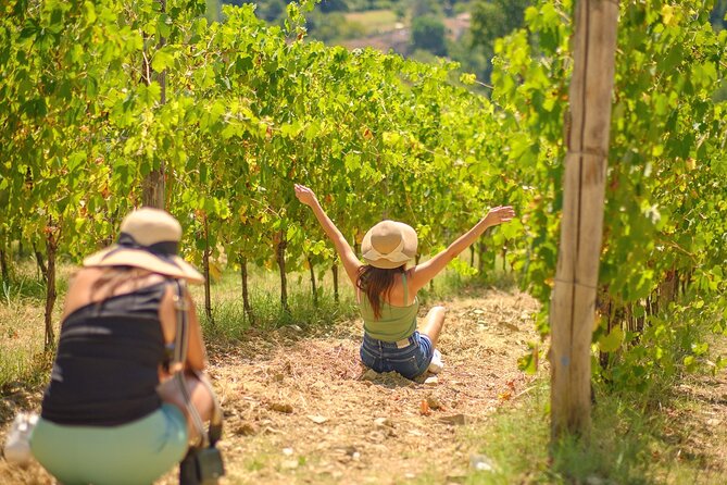 Half Day Chianti Vineyard Escape From Florence With Wine Tastings - Pricing and Booking