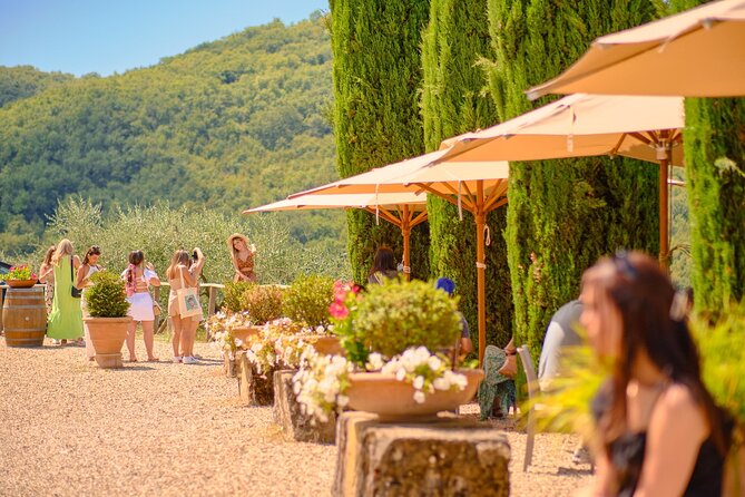 Half Day Chianti Vineyard Escape From Florence With Wine Tastings - Tour Overview
