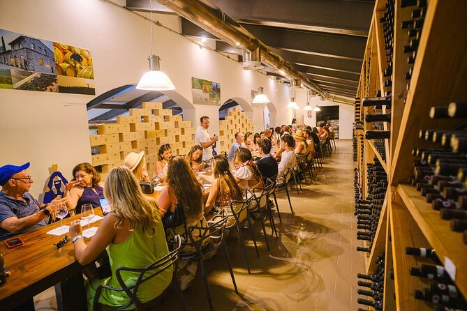 Half Day Chianti Vineyard Escape From Florence With Wine Tastings - Customer Feedback