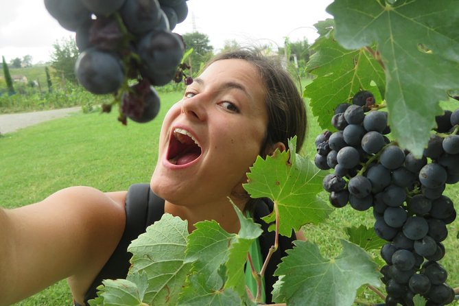 Half-Day Chianti Wine Tour From Florence - Small Group - Minimum Travelers and Refunds