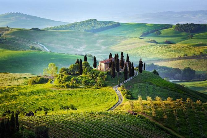 Half Day Chianti Wine Tour With Private Luxury Van - Traveler Photos and Reviews
