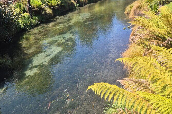 Half Day Christchurch Scenic Tour with Local Guide - Who Will Love This Tour?