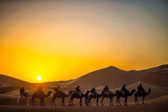 Half Day City Tour of Jaisalmer Visit Sunset by Camel Ride With Dinner - Tour Itinerary