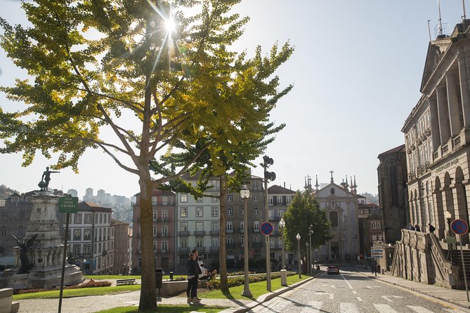 Half Day City Tour With Six Bridges Cruise and Wine Tasting - Tips for Exploring Porto Independently