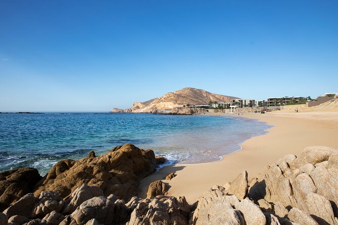 Half-Day Coast Tour With Snorkeling at Chileno Beach  - San Jose Del Cabo - Traveler Reviews