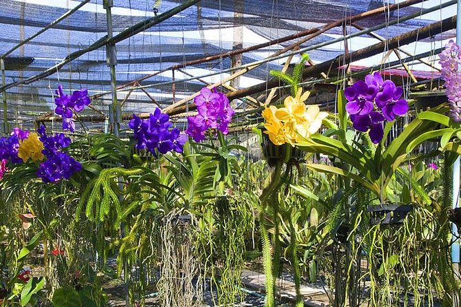 Half Day Colourful Phuket City Tour - Beach Exploration