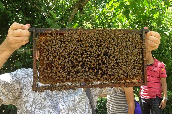 Half Day Colourful Phuket City Tour - Coastal Views