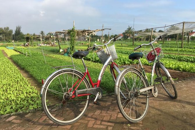 Half Day Cooking Class At Tra Que Vegetable Village Hoi An - Meeting and Pickup Details