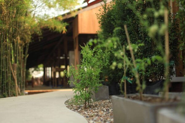HALF DAY COOKING COURSE at The Rice Barn Thai Cooking Farm - How to Get There