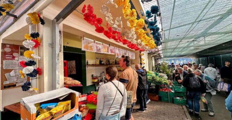 Half-Day Country Market Tour on Madeira Island - Activity Itinerary