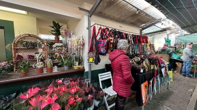 Half-Day Country Market Tour on Madeira Island - Booking
