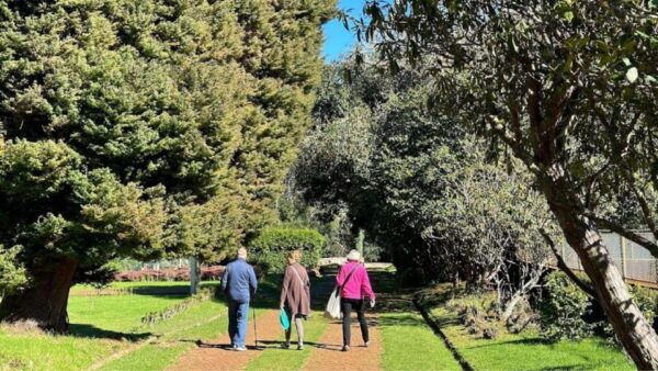 Half-Day Country Market Tour on Madeira Island - Summary