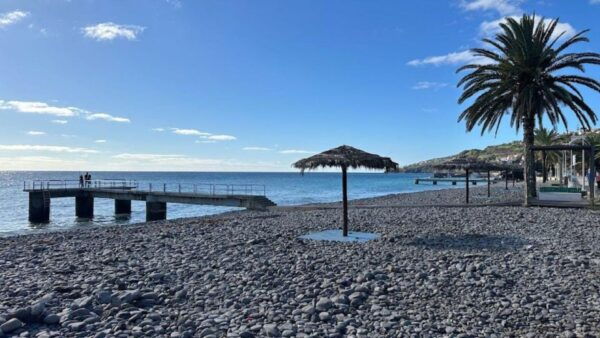 Half-Day Country Market Tour on Madeira Island - Frequently Asked Questions