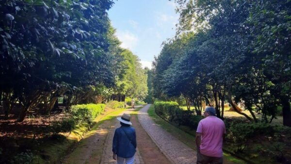 Half-Day Country Market Tour on Madeira Island - The Sum Up