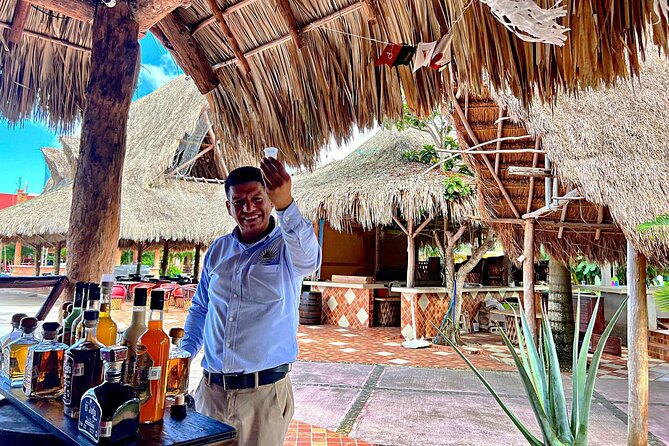 Half-Day Cozumel Island Tour - Tour Overview
