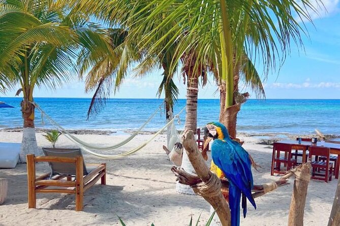 Half-Day Cozumel Island Tour - Booking and Contact Information