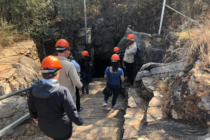 Half Day Cradle Of Humankind Tour - Tour Highlights