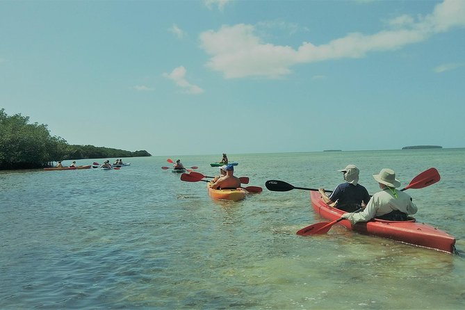 Half-Day Cruise From Key West With Kayaking and Snorkeling - Overview of the Cruise