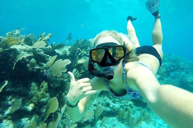 Half-Day Cruise From Key West With Kayaking and Snorkeling - Cruise Details and Activities