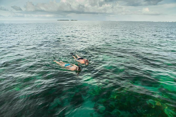 Half-Day Cruise From Key West With Kayaking and Snorkeling - Common Questions