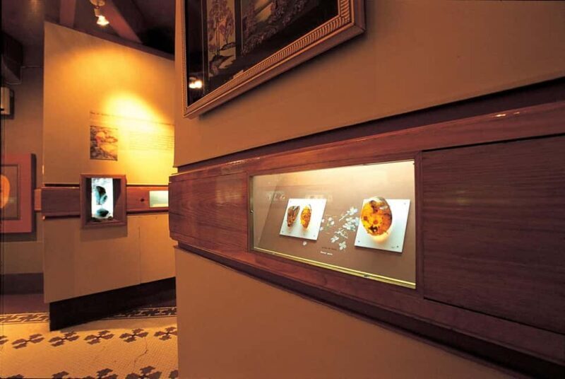 Half Day Cultura Tour of the City of Special for Cruise Ship - The Sum Up