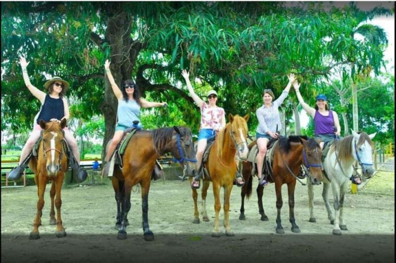 Half-day cultural safari to Higüey with lunch - Who Will Love This Experience?