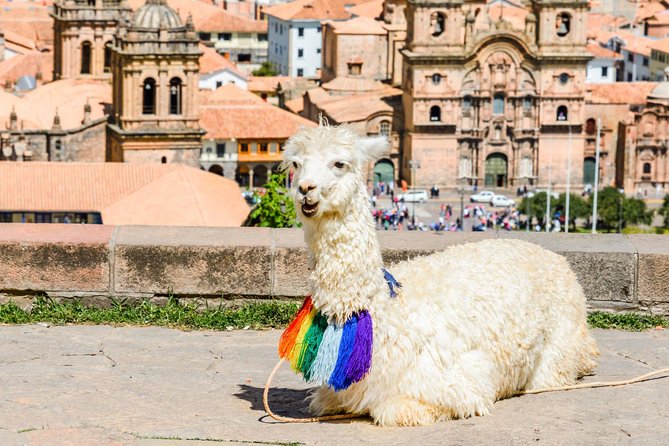Half-Day Cusco Afternoon City Tour Group Service - Common Questions