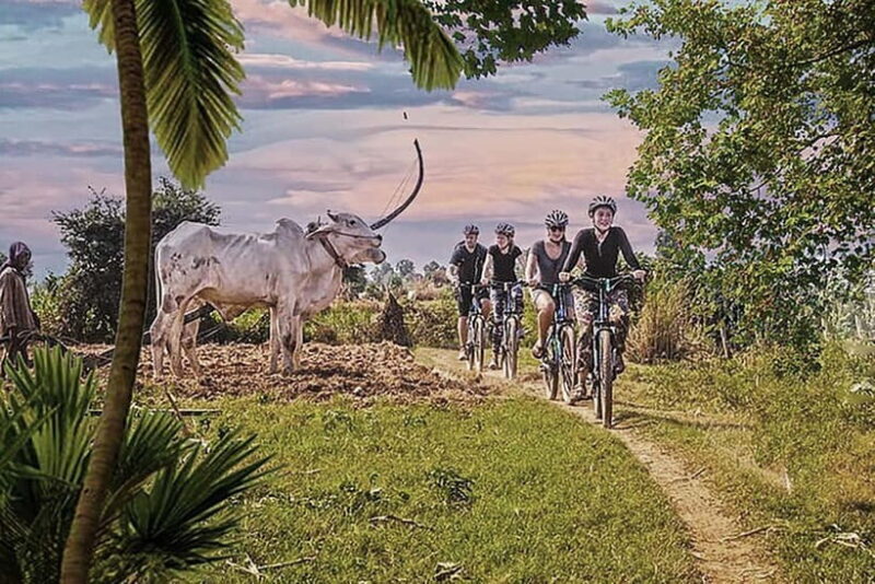 Half-Day Cycling to Discover Battambang's Rural Livelihoods - Good To Know