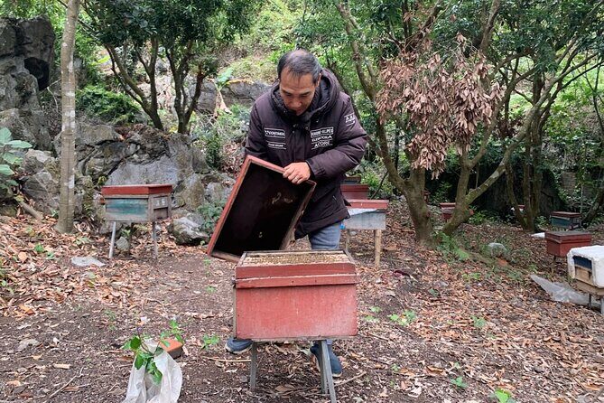 Half-Day Cycling Tour on Cat Ba Island - An Overview of the Tour Experience