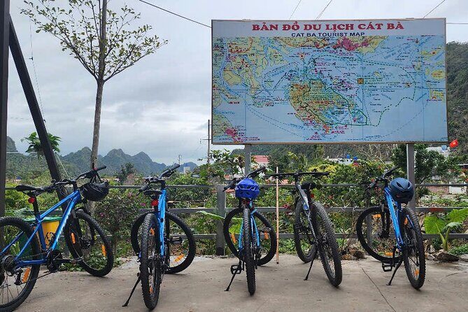 Half-Day Cycling Tour on Cat Ba Island - Practical Details and What to Expect