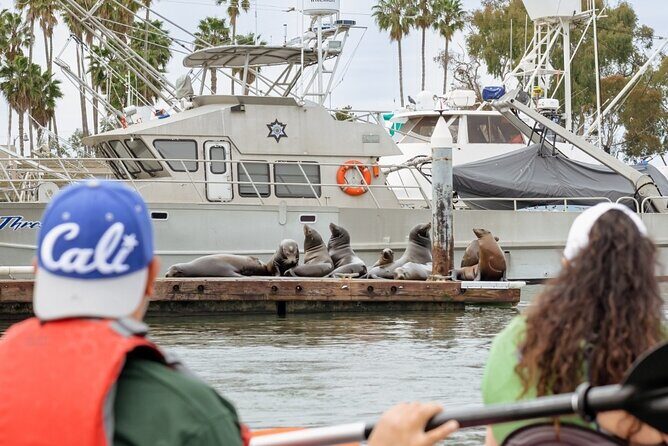 Half Day Dana Point Kayak and Hike - The Sum Up