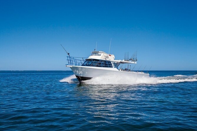 Half-Day Deep Sea Fishing in Wollongong - Fishing Techniques and Tips