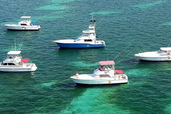 Half Day Deep Sea Fishing Tour From Punta Cana - Booking Information
