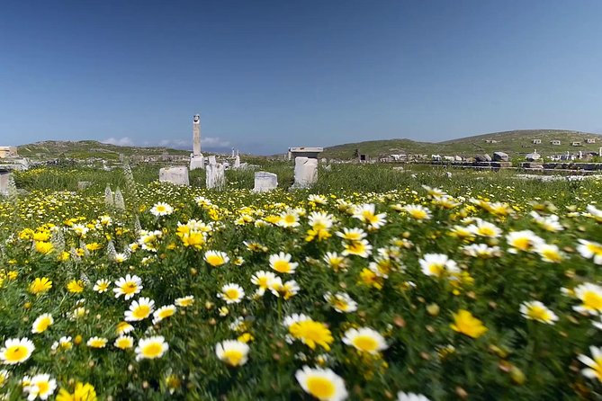 Half-Day Delos Tour From Mykonos - Delos Highlights