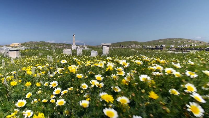 Half Day Delos Tour from Mykonos in English - From the market to Apollo’s sanctuary