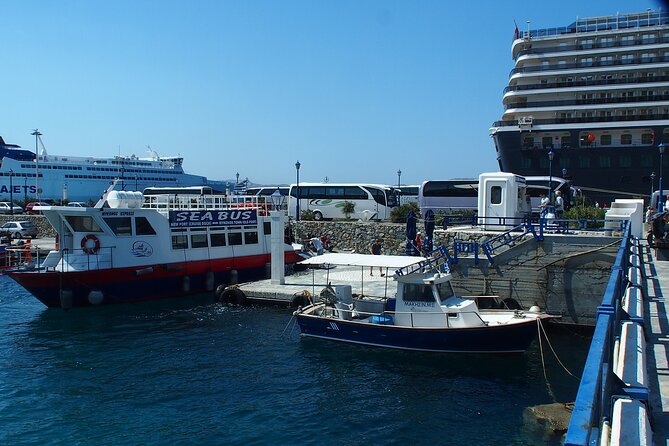 Half Day Delos Tour of Mykonos From the Cruise Ship Port - Reviews