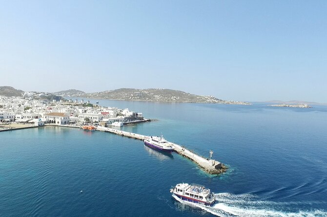 Half Day Delos Tour of Mykonos From the Cruise Ship Port - Directions