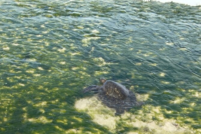 Half Day Deluxe Island Movie Tour: LOST, Jurassic, Pirates - Tour Duration and Schedule