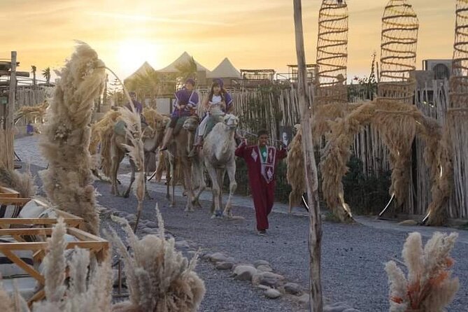 Half Day Desert Agafay Quad Camel Dinner Show at Sunset - What to Expect on the Half Day Desert Tour