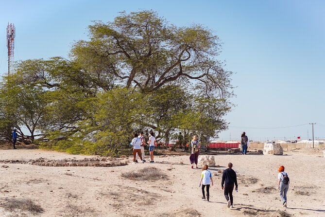 Half-Day Desert Private Tour From Manama - Additional Information