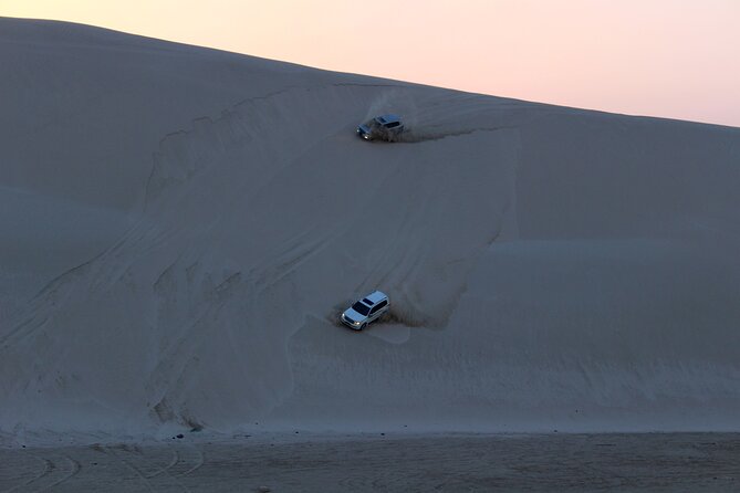 Half Day Desert Safari Tour - Traveler Reviews