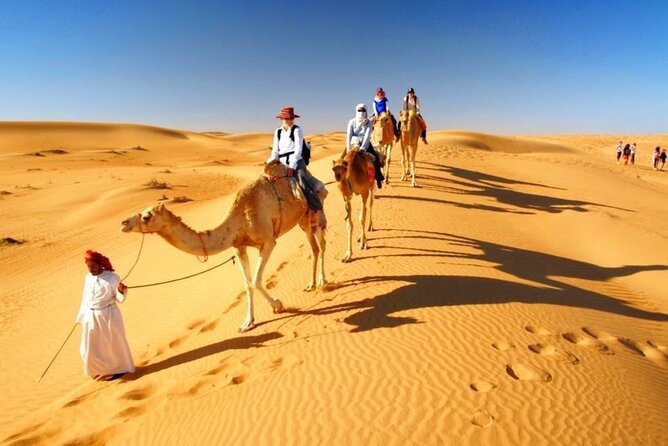 Half Day Desert Safari With Pickup From Doha Port/Airport /Hotels - Common Questions