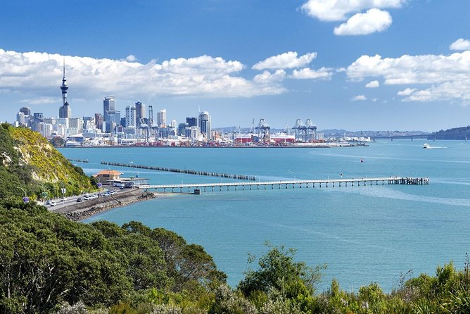 Half-day Discover Auckland City Sightseeing Tour - Reviews, Feedback, and Additional Information