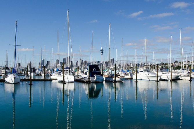 Half-day Discover Auckland City Sightseeing Tour - Copyright and Terms & Conditions