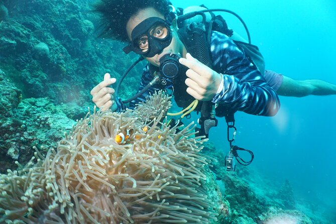 Half Day Discover SCUBA Diving Phi Phi Island - Tips for a Successful SCUBA Diving Experience