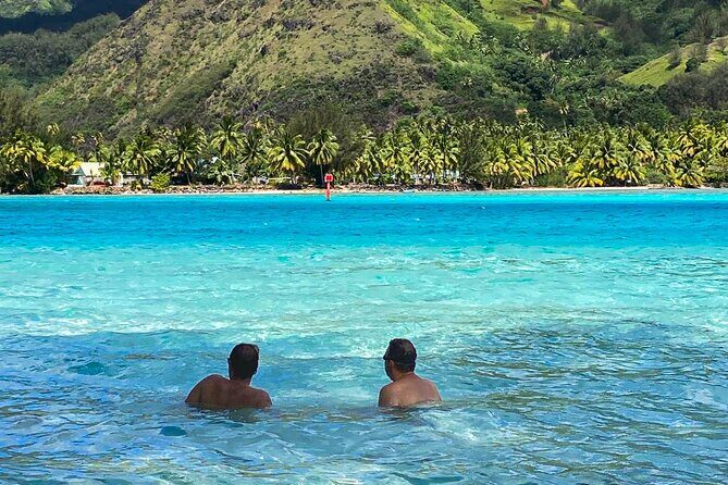 Half-Day Discovery of Moorea Lagoon by Private Boat. - The Experience: What to Expect from the Half-Day Tour